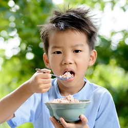 Sejarawan Ungkap Awal Mula Orang RI Ketergantungan Makan Nasi
