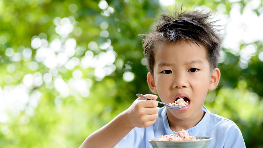 ilustrasi anak makan nasi