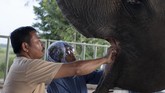 Kendati berlokasi di Indonesia, sebagian peralatan medis dan alat-alat kesehatan masih mendapatkan sumbangan dari Australia Zoo dan juga Taman Safari Indonesia. (ANTARA/Muhammad Adimaja)