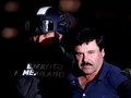 Juri AS Sebut El Chapo Bersalah Atas Sepuluh Dakwaan