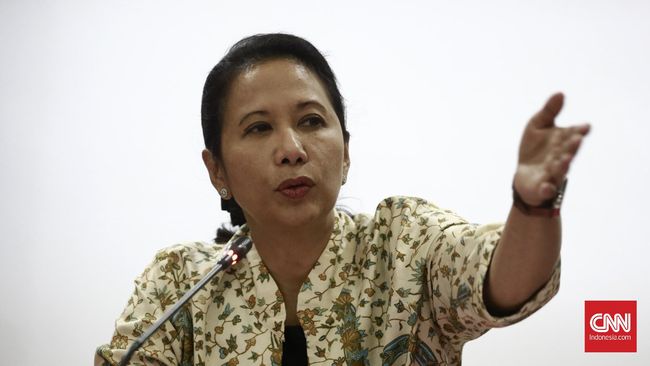 Menteri Rini Tawarkan Jasa Pemeliharaan Pesawat ke Airbus