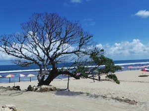 Pesona Pantai Pok Tunggal, Surga Tersembunyi di Gunungkidul