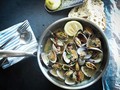 Perancis Kini Punya Mesin Jual Kerang Otomatis