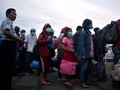 Ahok Sebut Gafatar Bukan Sejenis Kelompok Teror