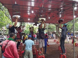 Kalender Jawa Jumat Pon 20 Februari 2026: Waktunya Main Burung