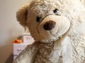 Bocah 11 Tahun Ini Curi Data Melalui Boneka