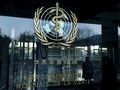 WHO Buat Panel Pelajari Rekayasa Genetika Bayi di China