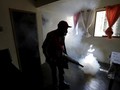 Fogging Tak 100 Persen Efektif Berantas Nyamuk DBD