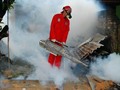 Antisipasi DBD, Pemprov DKI <i>Fogging</i> di Wilayah Korban