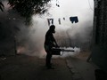 Kemenkes Belum Temukan Kasus Serius Virus Zika di Indonesia