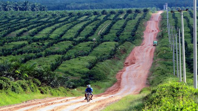 Komnas HAM Minta Negara Ambil Tanah yang Dikuasai Konglomerat