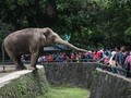 Objek Wisata di Jakarta Bersiap Diserbu Warga yang Tak Mudik