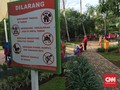 Seabad Lagi, Ruang Hijau Jakarta Baru Bisa Capai 30 Persen