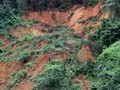 Longsor Geothermal di Bengkulu, Satu Tewas Empat Hilang