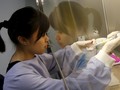 Indonesia Keluarkan <i>Travel Advisory</i> soal Zika