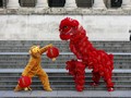 Selaras Mimpi dalam Liuk Barongsai