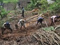 Longsor di Banjarnegara, 158 Orang Diungsikan