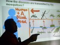 Penderita DBD di Sumut Capai 5.713 Orang, 25 Meninggal