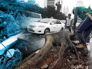Pohon Tumbang di Kemang Raya dan Pakubuwono Jaksel Akibat Hujan Angin
