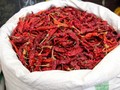 Pedas, Alasan Warga Eropa 'Takut' Makanan Indonesia