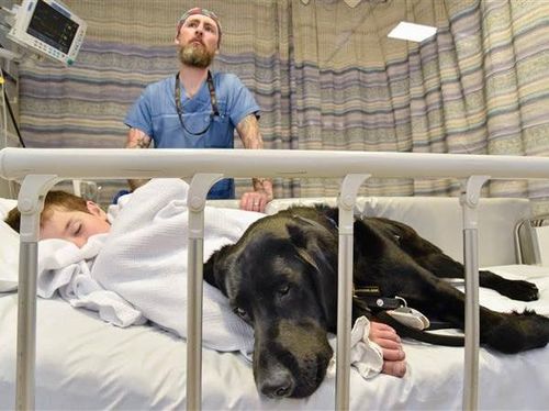 So Sweet! Anjing Penjaga Ini Setia Menemani Bocah Autis 