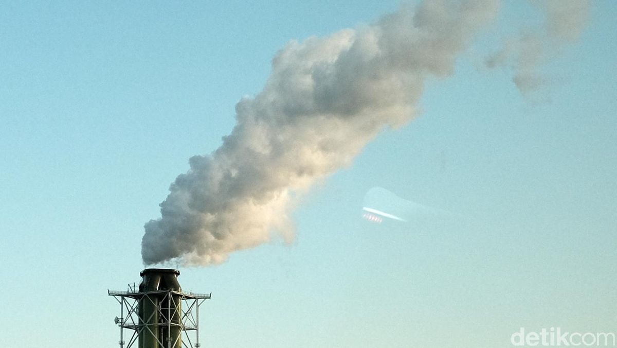 Rusia Mau Bangun Pabrik Alumina di Kalimantan, Izin Hampir Final