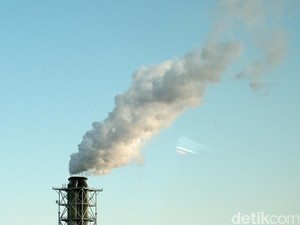 Bahlil Prioritaskan Gas buat Kebutuhan Domestik, Pengusaha Respons Begini