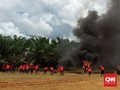 Kebakaran Hutan Terus Mengancam, Desa Siaga Api Dibentuk