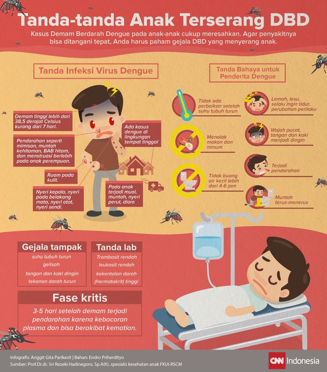 Tanda-tanda Anak Terserang Demam Berdarah Dengue