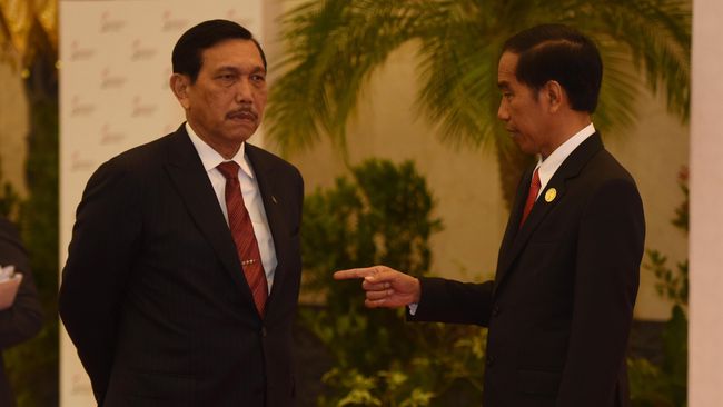 'Bule' jadi Bos BUMN, DPR Sebut Luhut Sepelekan Anak Bangsa