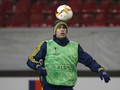 Robin van Persie Pernah Nyaris Jadi Sales