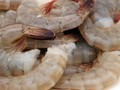 Empat Cara Dapatkan Udang Terbaik di Pasar