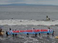 Menteri Susi Batalkan Reklamasi Teluk Benoa