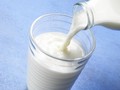 Antara Susu Sapi dan Susu Kacang, Mana yang Terbaik?