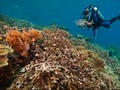 Pemda Raja Ampat Janji Tingkatkan Infrastruktur Pariwisata