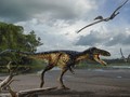 Burung 99 Juta Tahun Ini Hidup Sezaman dengan Dinosaurus