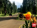 Kebun Raya Bogor Tutup saat <i>May Day</i>