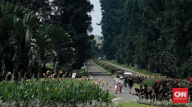 Kebun Raya Bogor Membuka Kembali Taman Akuatik