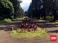 Kebun Raya Bogor Tetap Buka untuk Umum Saat Kunjungan Obama