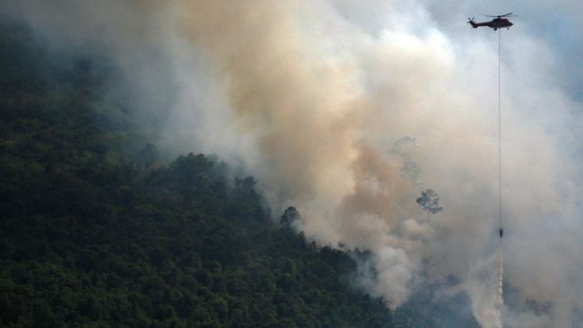 kebakaran hutan di indonesia Jepang Tanam Rp600 M untuk Sistem Penanggulangan Kebakaran 