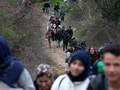 Norwegia Tawarkan Pengungsi Rp16 Juta Agar Hengkang