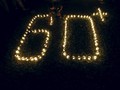 'Earth Hour', Ratusan Orang Lari Keliling Kebun Raya Bogor