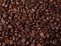 Genjot Angka Ekspor, Pemerintah Poles 'Citra' Kopi RI