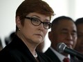 Australia Tanggapi Penghentian Kerja Sama Militer dengan TNI