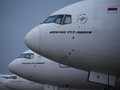 Selain Denda, Pemerintah Tak Beri Sanksi Garuda Indonesia