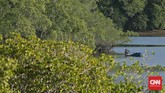 Di Desa Mokantarak, Larantuka, banyak ditemui pemandangan nelayan mencari ikan di area teluk bagian timur Flores itu tiap pagi. (CNN Indonesia/Adhi Wicaksono)