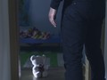 Cerita Muncikari Bocah Korban Paedofil Gay