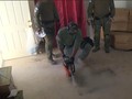 Ganja 1,3 Ton Ditemukan di Terowongan Rahasia California