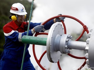 PGE Bidik Aset Panas Bumi di Kenya dan Turki