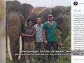 Hutan Indonesia Muncul di Film Dokumenter Leonardo DiCaprio